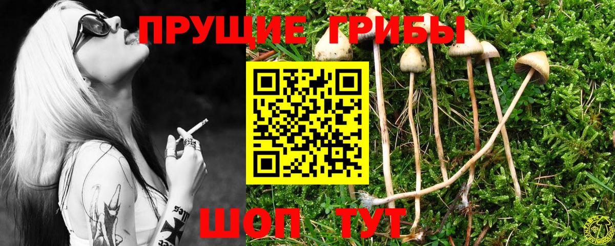 Галлюциногенные грибы Magic Shrooms Дубна