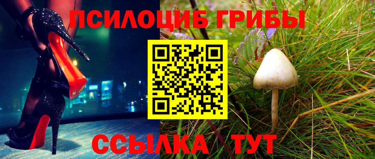Дубна  Псилоцибиновые грибы мухоморы  Вход с VPN 